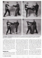 Wing Chun Applications